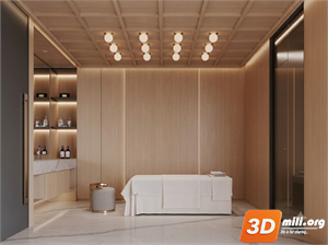 Spa Skp Files 